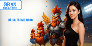 ảnh đại diện đá gà thomo