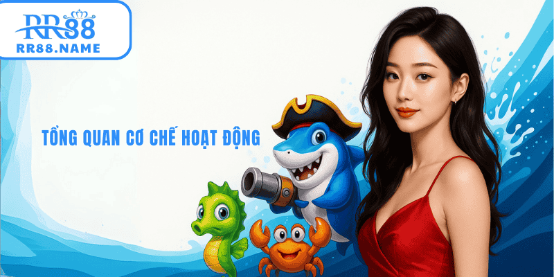 Tổng quan cơ chế bắn cá h5 tại RR88