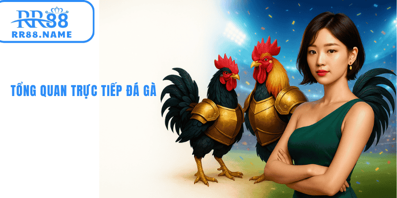 Tổng quan về trực tiếp đá gà 